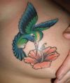 hummingbird pic tattoos on breast